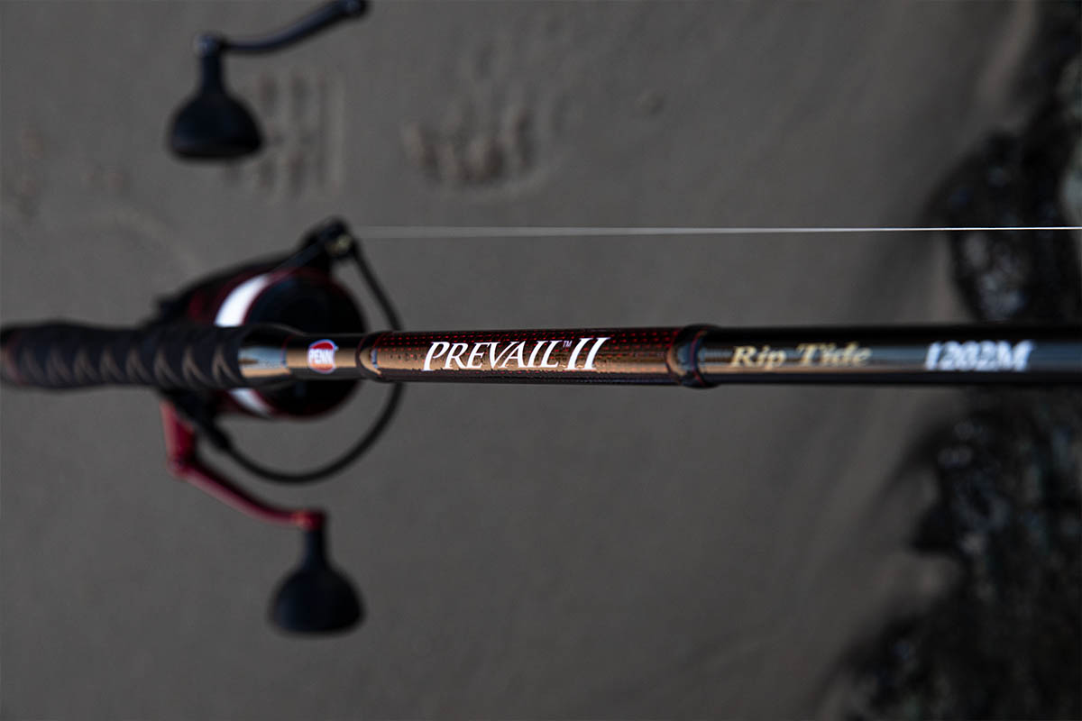  PENN Prevail II 7' Inshore Spinning Rod; 1-Piece Fishing Rod,  10-17lb Line Rating, Medium Rod Power, Extra Fast Action, 1/4-1 oz. Lure  Rating, Black, Red : Sports & Outdoors